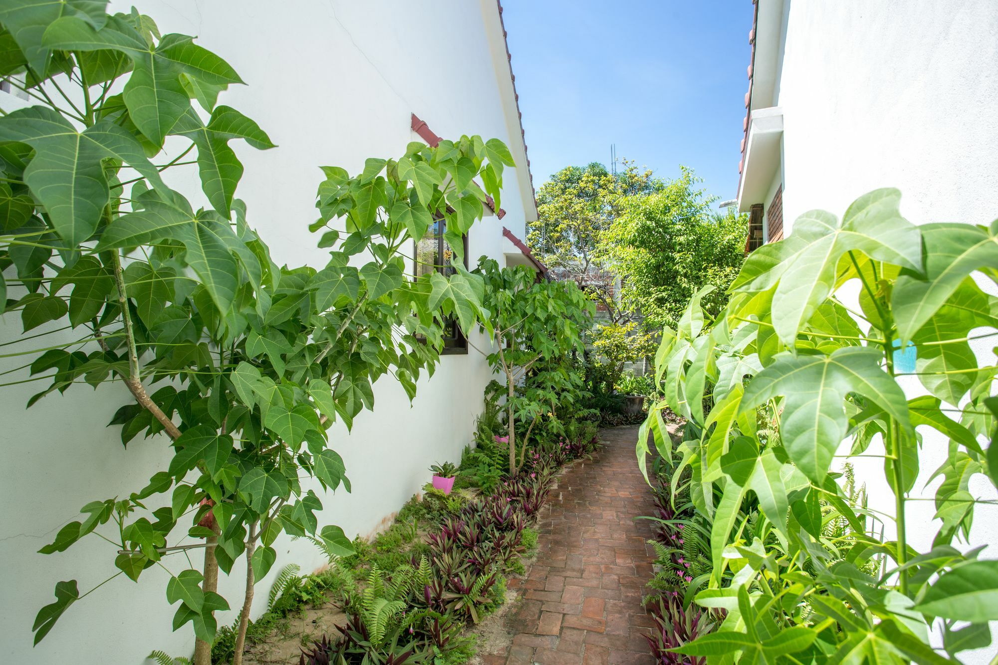 Red Flower Cottages Homestay Hoi An Exterior foto