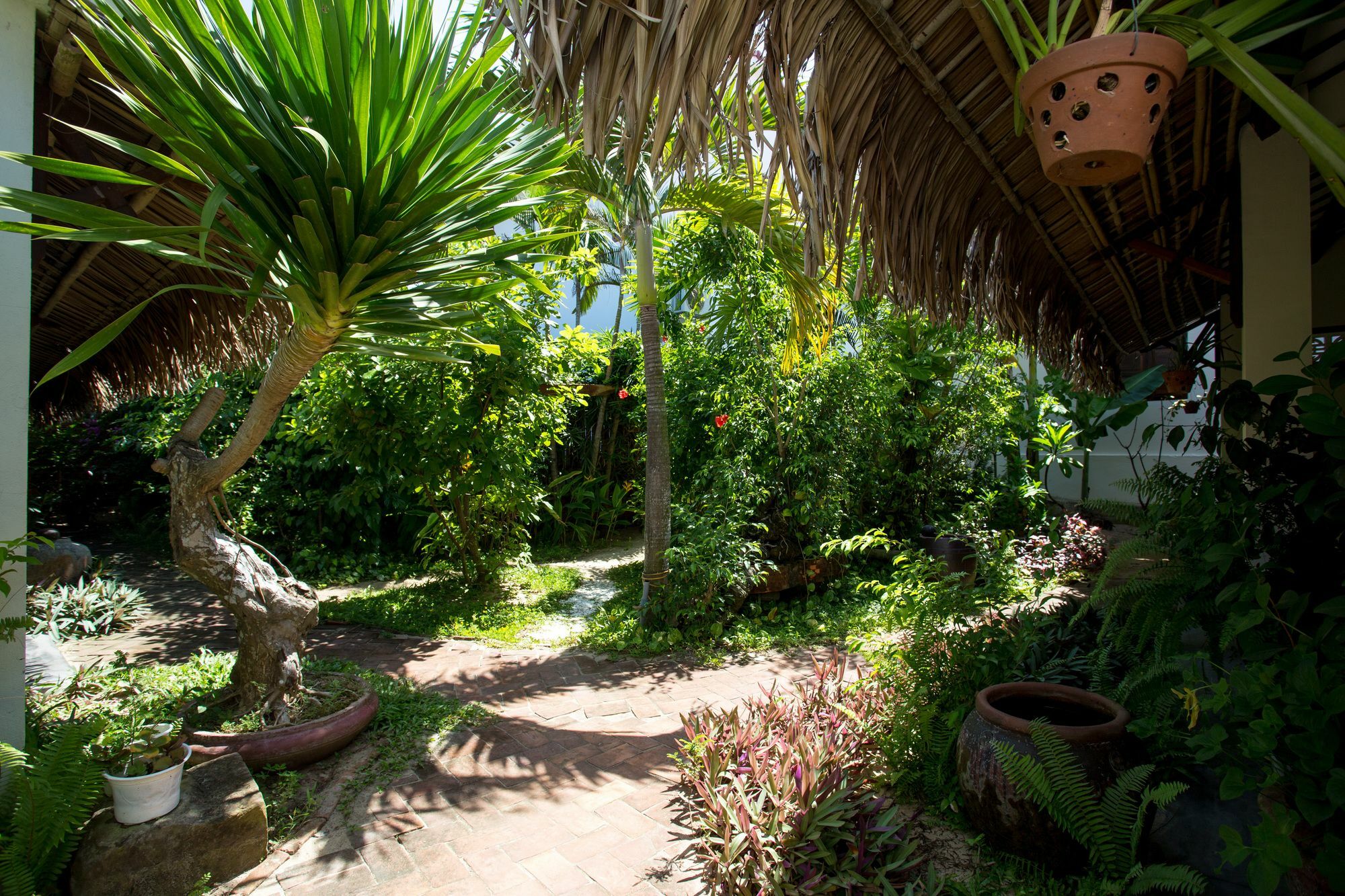 Red Flower Cottages Homestay Hoi An Exterior foto